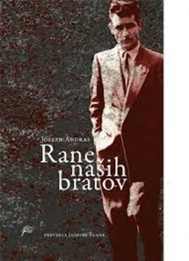 Naslovnica: Rane naših bratov: roman