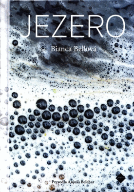 Naslovnica: Jezero