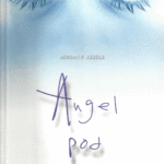 Naslovnica: Angel pod masko