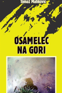 Naslovnica: Osamelec na gori : haiku in sorodne kratkice