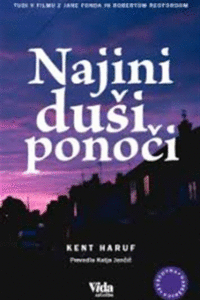 Naslovnica: Najini duši ponoči