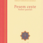 Naslovnica: Pesem ceste = Pather pančali