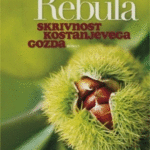 Naslovnica: Skrivnost kostanjevega gozda