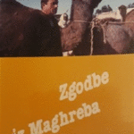 Naslovnica: Zgodbe iz Maghreba