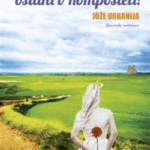 Naslovnica: Antonija, ostani v Komposteli!