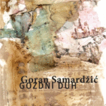 Naslovnica: Gozdni duh : lakonska pripoved
