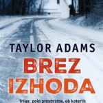 Naslovnica: Brez izhoda