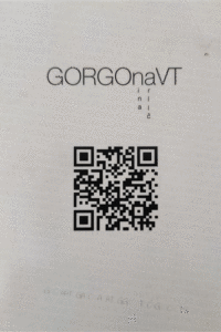 Naslovnica: Gorgonavt
