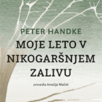 Naslovnica: Moje leto v nikogaršnjem zalivu : pravljica iz sodobnih časov