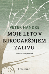 Naslovnica: Moje leto v nikogaršnjem zalivu : pravljica iz sodobnih časov