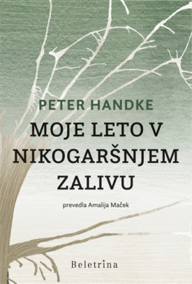 Naslovnica: Moje leto v nikogaršnjem zalivu : pravljica iz sodobnih časov