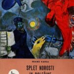 Naslovnica: Splet norosti in bolečine: izbrana proza