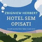 Naslovnica: Hotel sem opisati: izbrani eseji