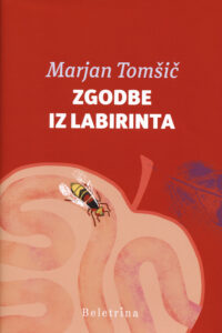 Naslovnica: Zgodbe iz labirinta