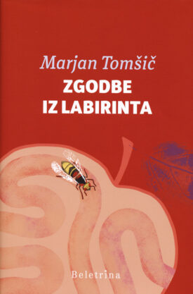 Naslovnica: Zgodbe iz labirinta