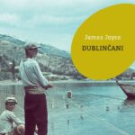 Naslovnica: Dublinčani