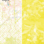 Naslovnica: Lipa