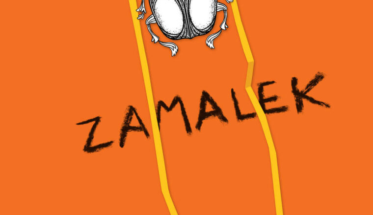 Zamalek : roman o kismetu in posthumnem življenju