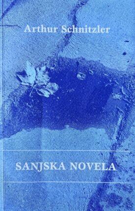 Naslovnica: Sanjska novela