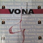 Naslovnica: Vojna gumbov : roman o mojem dvanajstem letu
