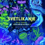 Naslovnica: Svetlikanje: divja čudesa bioluminiscence