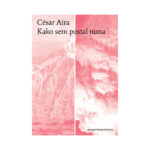 Naslovnica: Kako sem postal nuna : (roman)