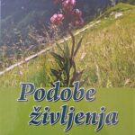 Naslovnica: Podobe življenja : roman