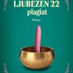 Naslovnica: Ljubezen 22, plagiat : roman