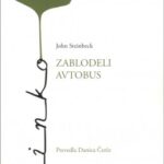 Naslovnica: Zablodeli avtobus