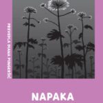 Naslovnica: Napaka