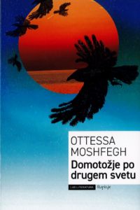 Naslovnica: Domotožje po drugem svetu