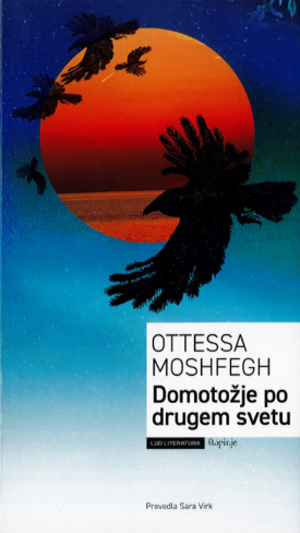Naslovnica: Domotožje po drugem svetu