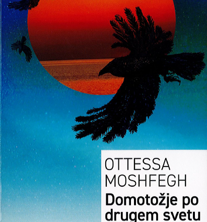 Domotožje po drugem svetu