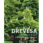 Naslovnica: Drevesa Slovenije in vse tisto, česar niste še nikoli slišali o njih