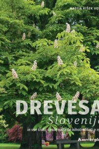 Naslovnica: Drevesa Slovenije in vse tisto, česar niste še nikoli slišali o njih