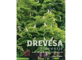 Naslovnica: Drevesa Slovenije in vse tisto, česar niste še nikoli slišali o njih