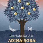 Naslovnica: Adina soba