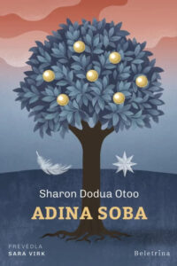 Naslovnica: Adina soba
