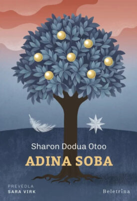 Naslovnica: Adina soba