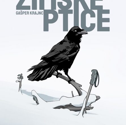 Zimske ptice