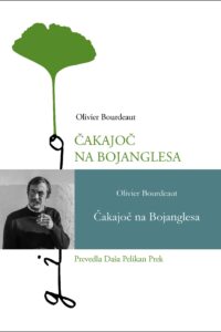 Naslovnica: Čakajoč na Bojanglesa