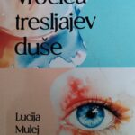 Naslovnica: Vročica tresljajev duše : [priročnik za duhovno prebujenje]