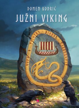 Naslovnica: Južni Viking : zgodovinsko-fantazijski roman