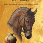 Naslovnica: Vrč ljubezni : kako spregledati travmo pod svojo tesnobo