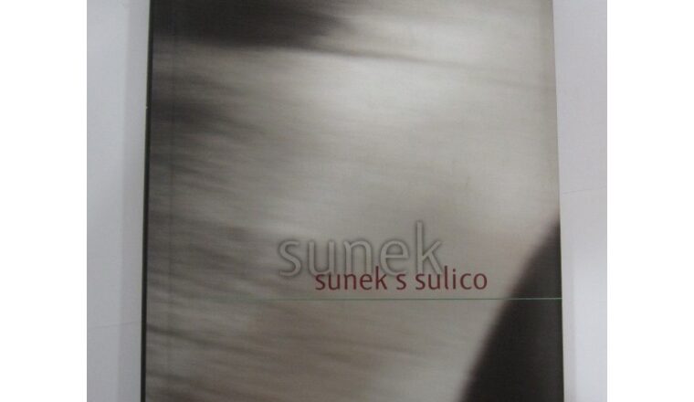 Sunek s sulico