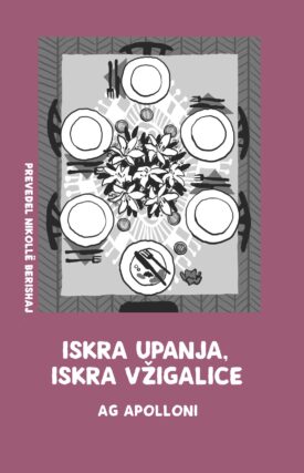 Naslovnica: Iskra upanja, iskra vžigalice : dokumentarni roman