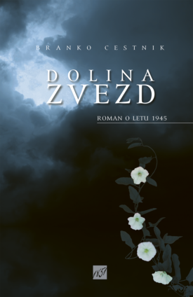 Naslovnica: Dolina zvezd : roman o letu 1945