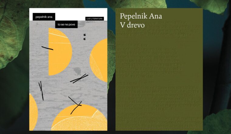 Nagrada Prešernovega sklada Ani Pepelnik