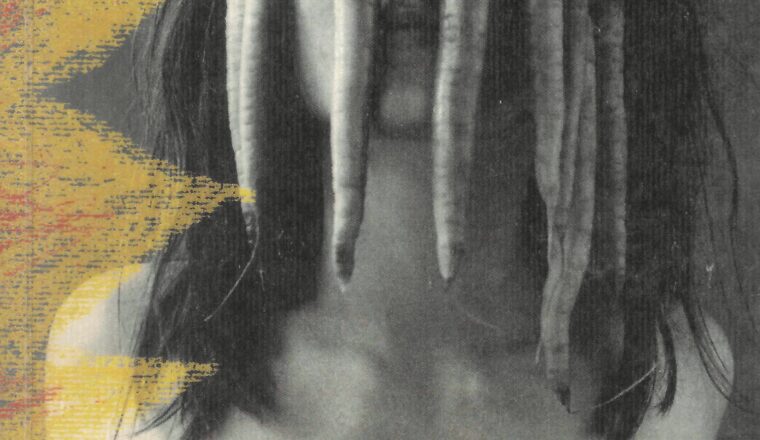 Pomaranče niso edini sad