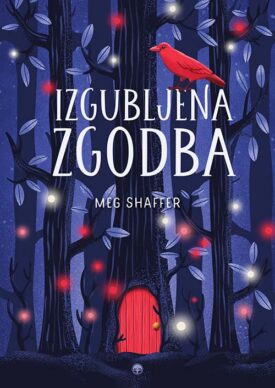 Naslovnica: Izgubljena zgodba